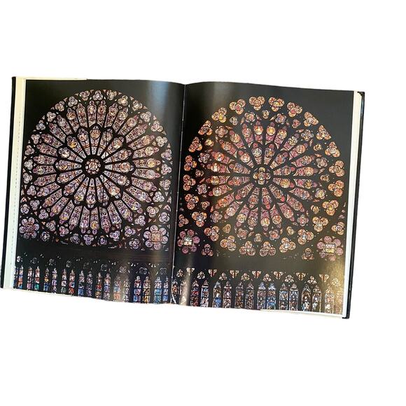 Notre Dame De Paris by Richard & Clara Winston 1971 Hardcover DJ Made In Italy - Picture 3 of 10